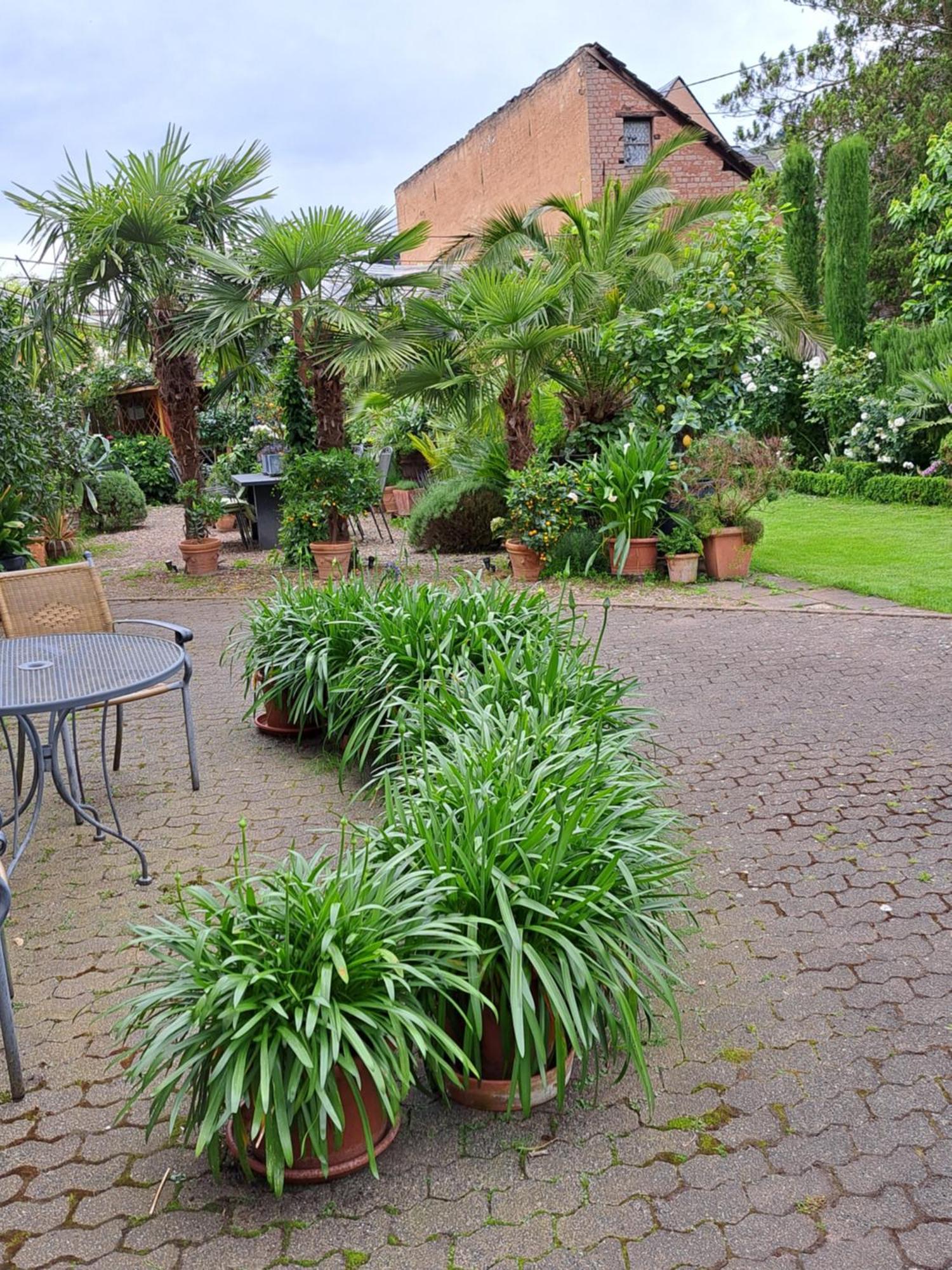 Landhauskiebel Erden Extérieur photo