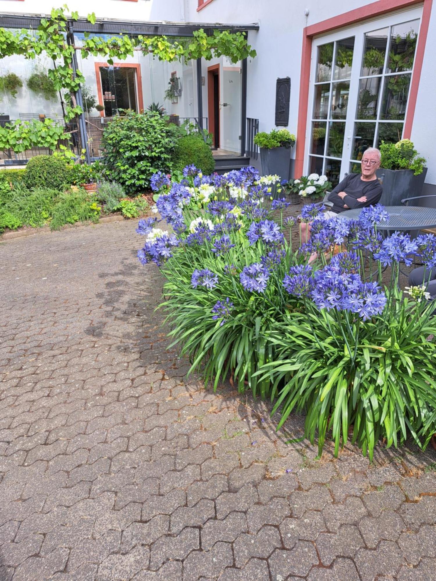 Landhauskiebel Erden Extérieur photo