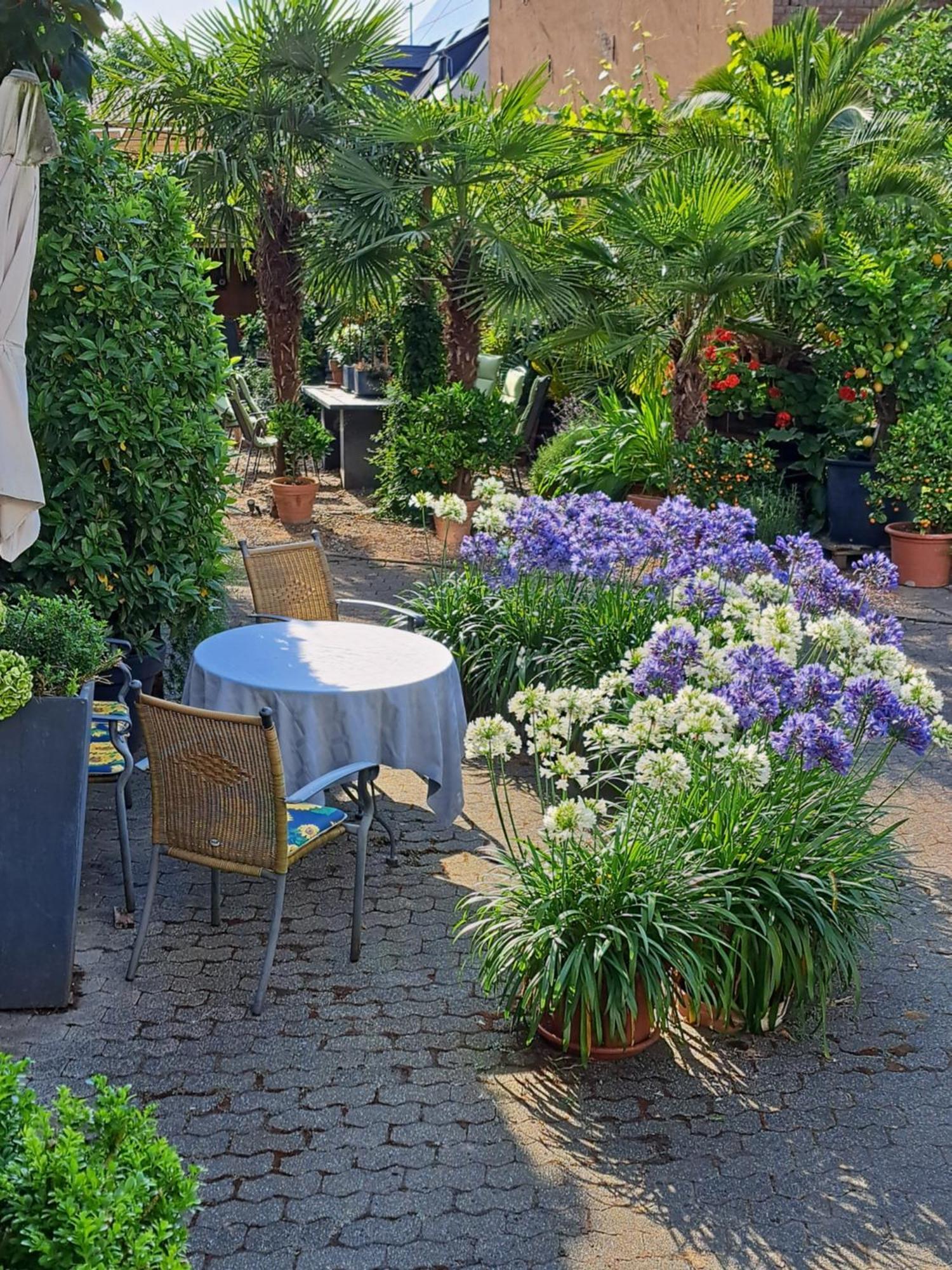 Landhauskiebel Erden Extérieur photo